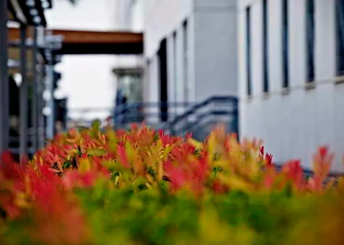 Aparthotel Vertice Sevilla Aljarafe